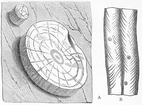 Fig. 78