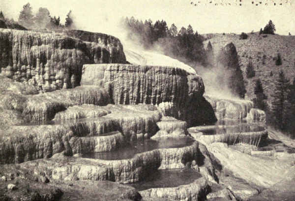 ONE OF THE TERRACES AT MAMMOTH HOT SPRINGS; YELLOWSTONE